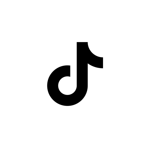 tiktok2