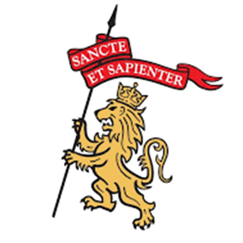 logo(5)