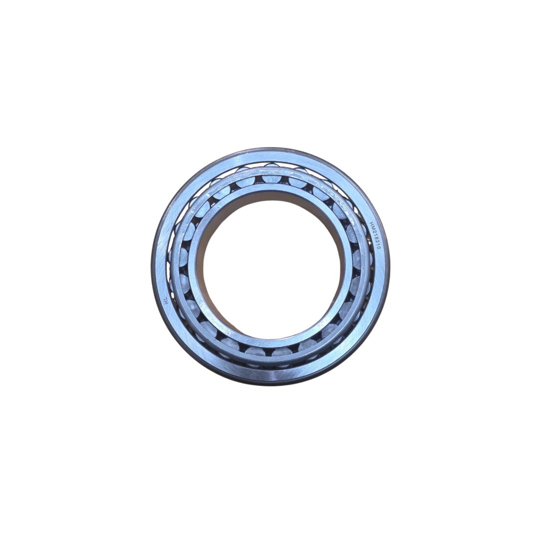 218248png1-1