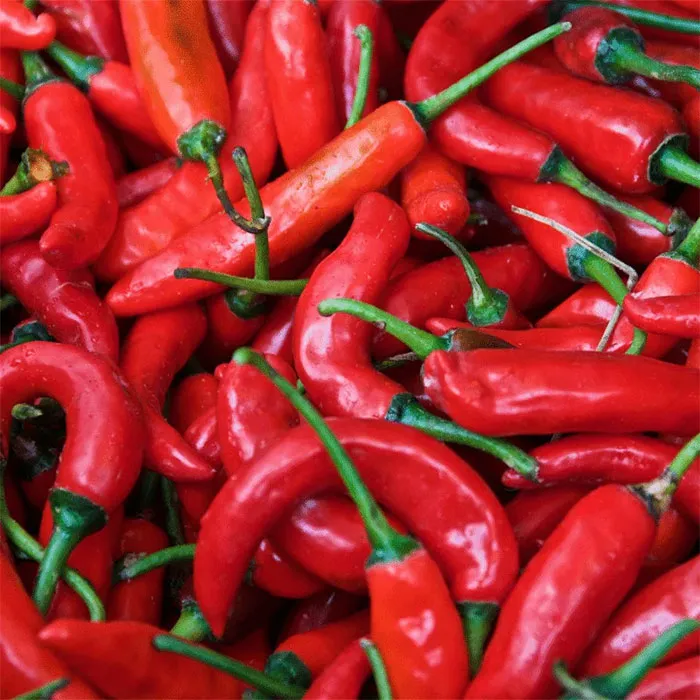 Chili-Extract