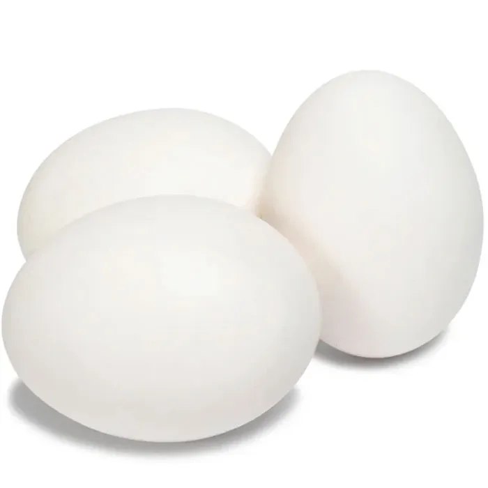 Egg-Albumin-Powder