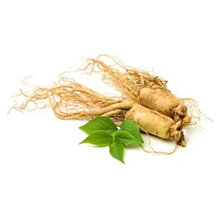 Ginseng-Extract