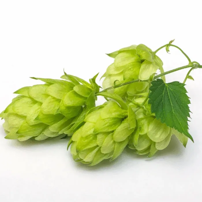 Hops-Extrac
