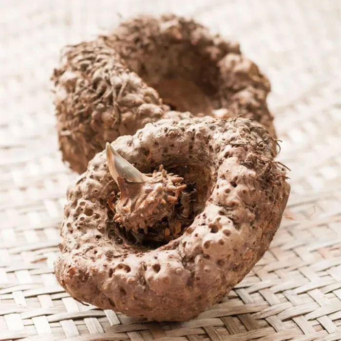 Konjac-Gum-Fiber-600x600