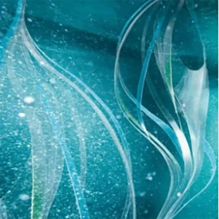 MarinePlankton(Lifting,Tightening)