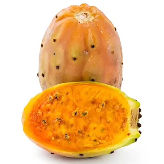 Prickly-Pear-Extract-Opuntia-fic