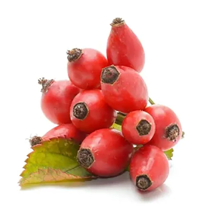 Rosehip-Rosa-Canina-Extract