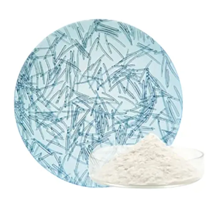 Sponge-Extract-1