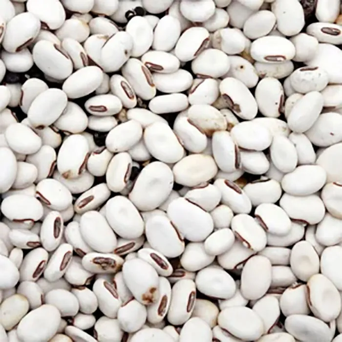 White-Kidney-Bean-extract