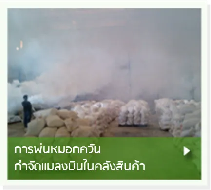 การพ่นหมอก