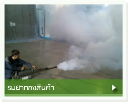 รมยากองสินค้า
