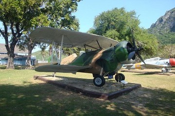 wing5-3