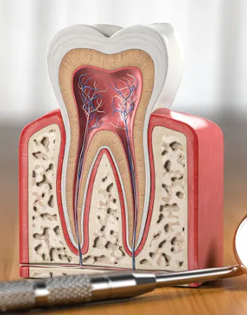 lynkubfundentalclinic-8