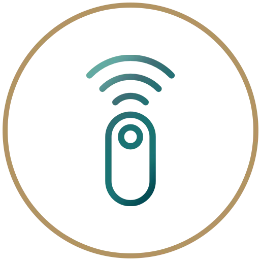 remote