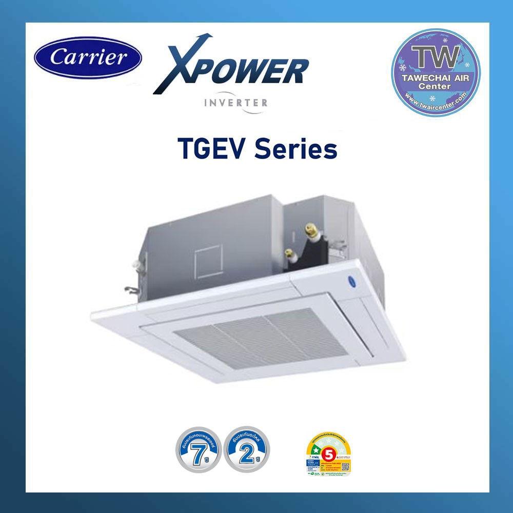 TGEV4