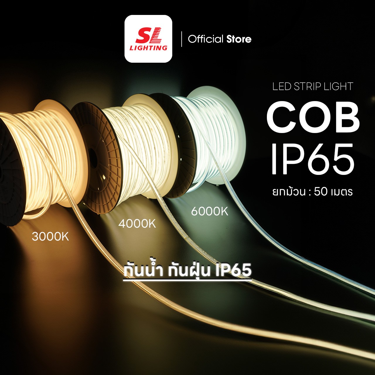 COBIP651