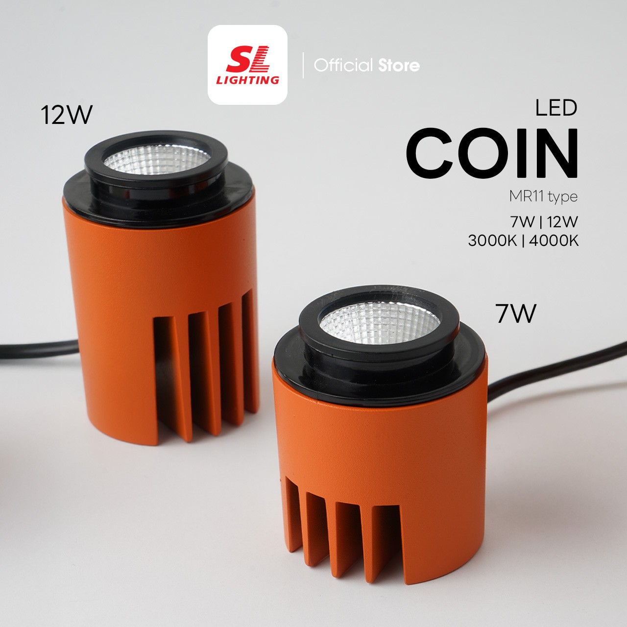 Coin01