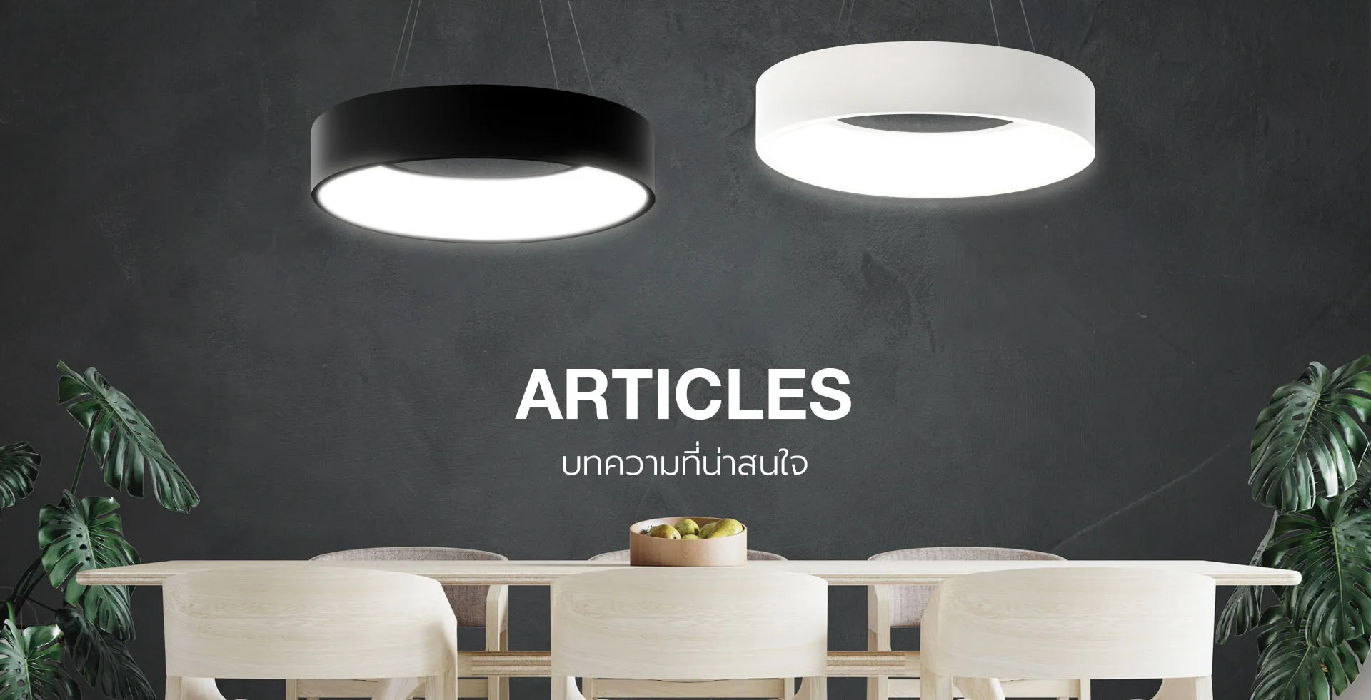 bannerบทความ