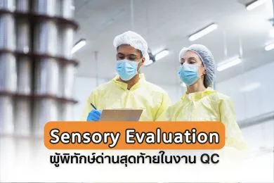 WeSenseWebsiteArticleThumbnail