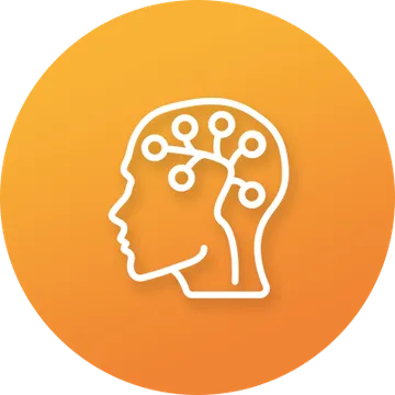 brain