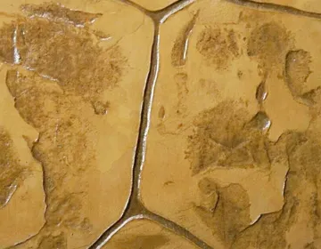 C-06