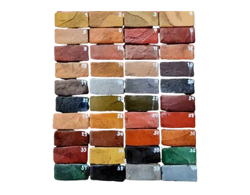 แบบสี1