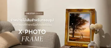 x-proframeslide3