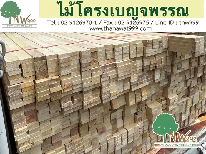 ไม้โครงเบญจพรรณ-1