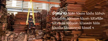 bannerมายด์