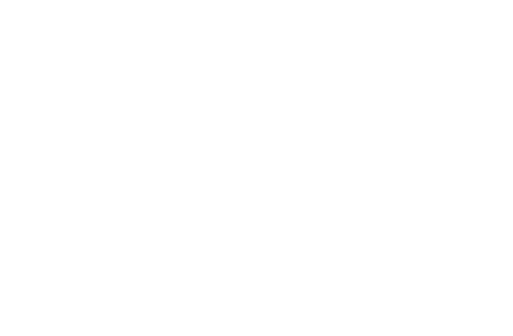 DEVELOPED-BY