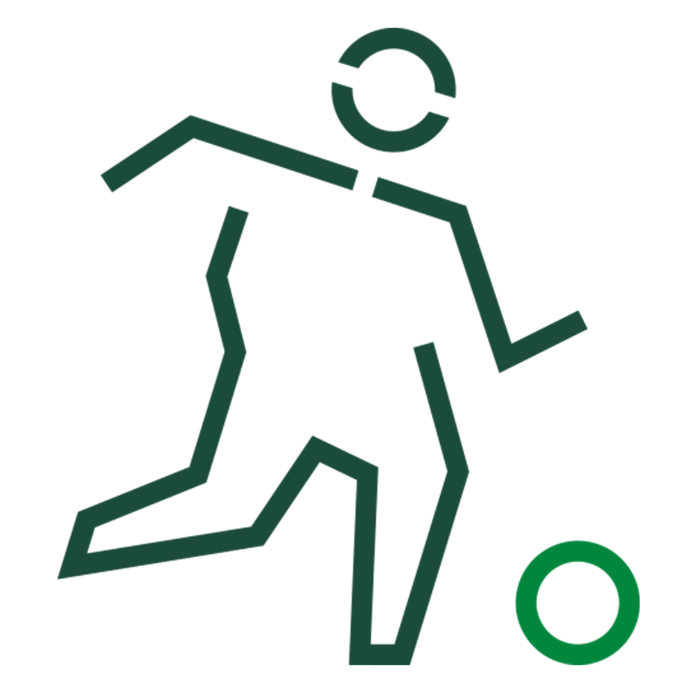 Multi-Sport-Court
