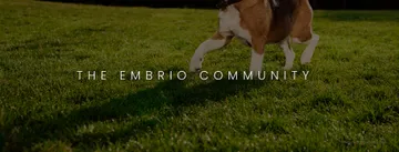 embriocommunity-03
