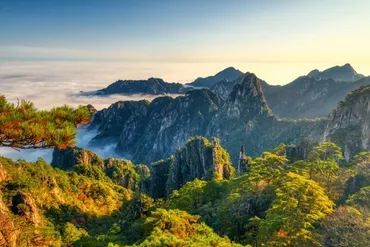 shutterstock2547057481(1)