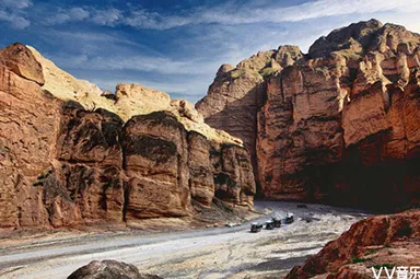 YELLOW-RIVER-STONE-FOREST