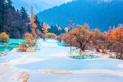HUANGLONG