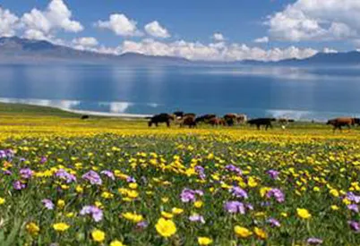 SAILIMU-LAKE