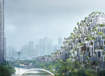 TIAN-AN-1,000-TREES