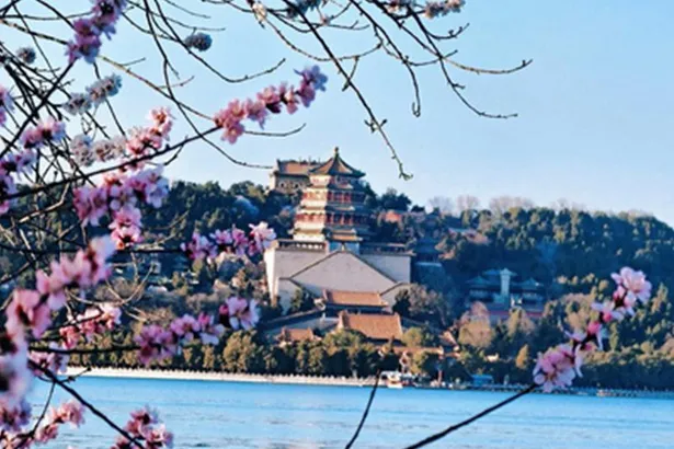 SUMMER-PALACE