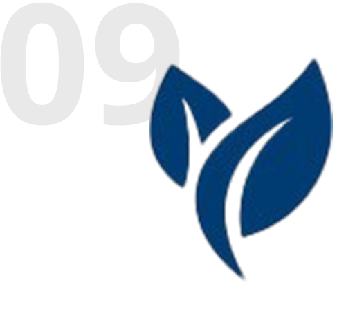 09