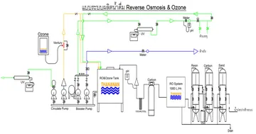 ROOzoneSystem