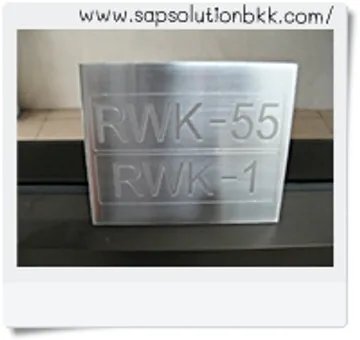 RIMG2879