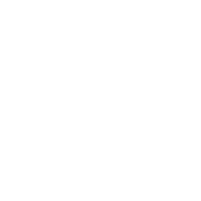 ic-pin