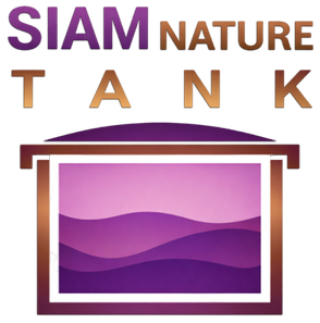 logo-footer