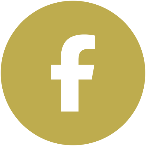 ic-fb02