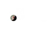 logo11complete