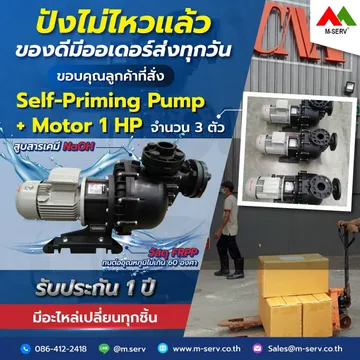 m-serv(20)