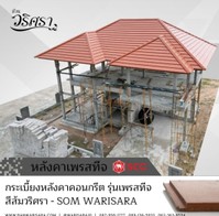 IMG20241107172927