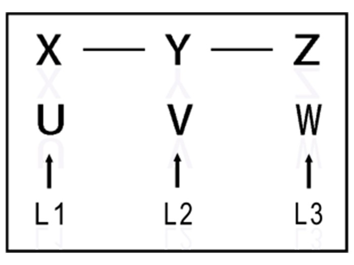 pupaqua45-(2)1