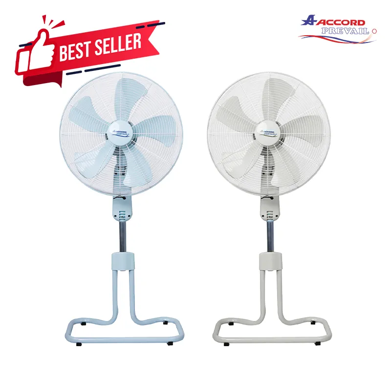 best-seller4