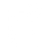 iconchecklist1